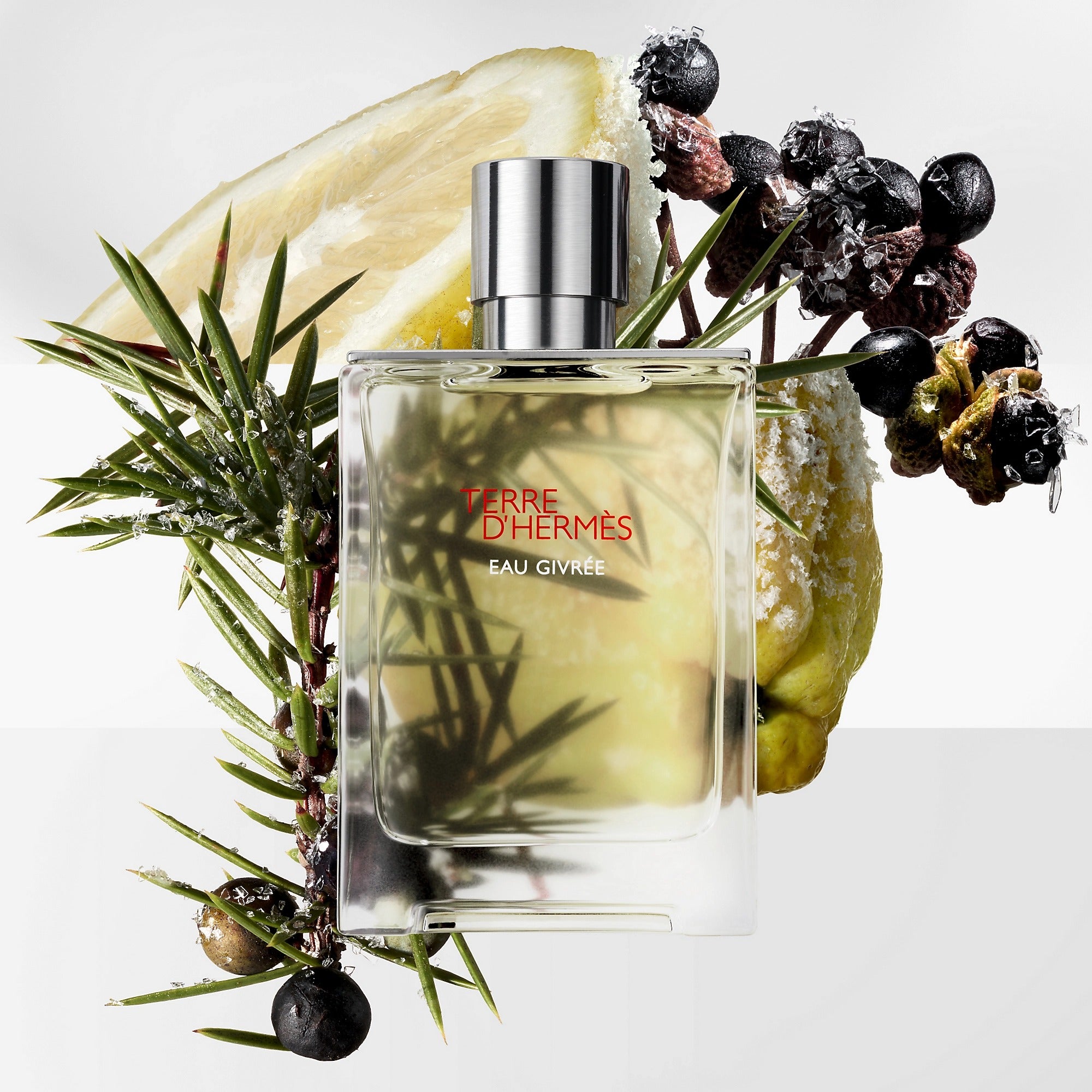 Terre d'Hermes Eau Givree 3.3 EDP Men
