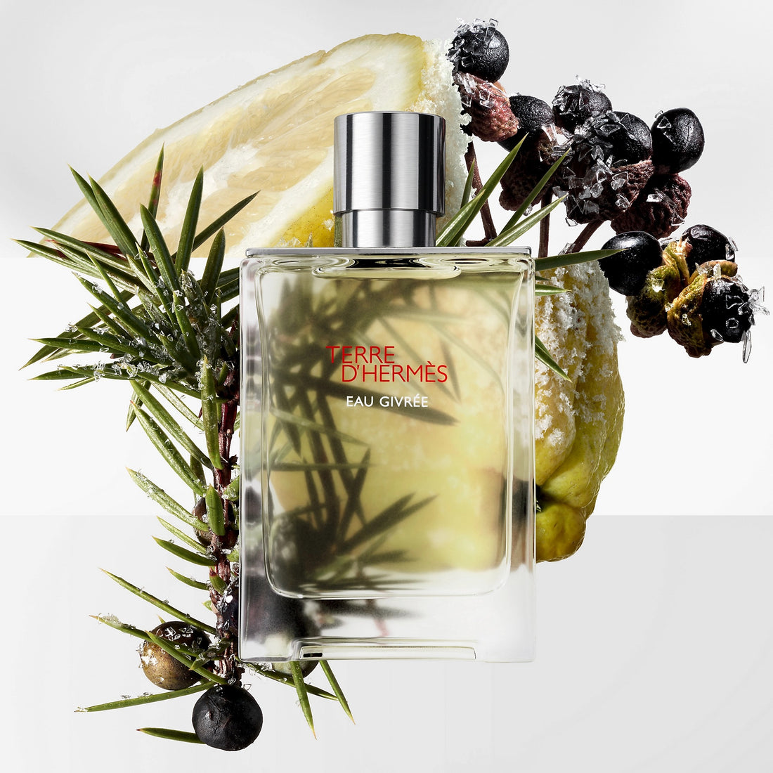 Terre d'Hermes Eau Givree 3.3 EDP Men
