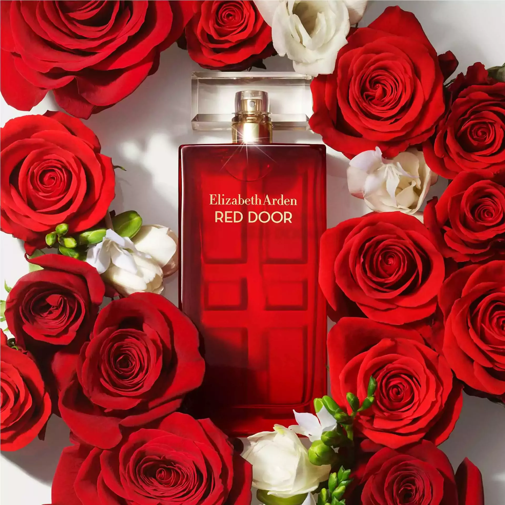 Elizabeth Arden Red Door EDT Women