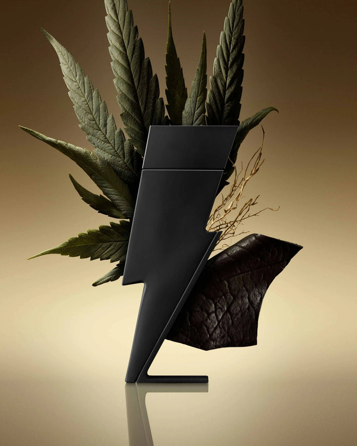 Carolina Herrera Bad Boy Le Parfum 3.4