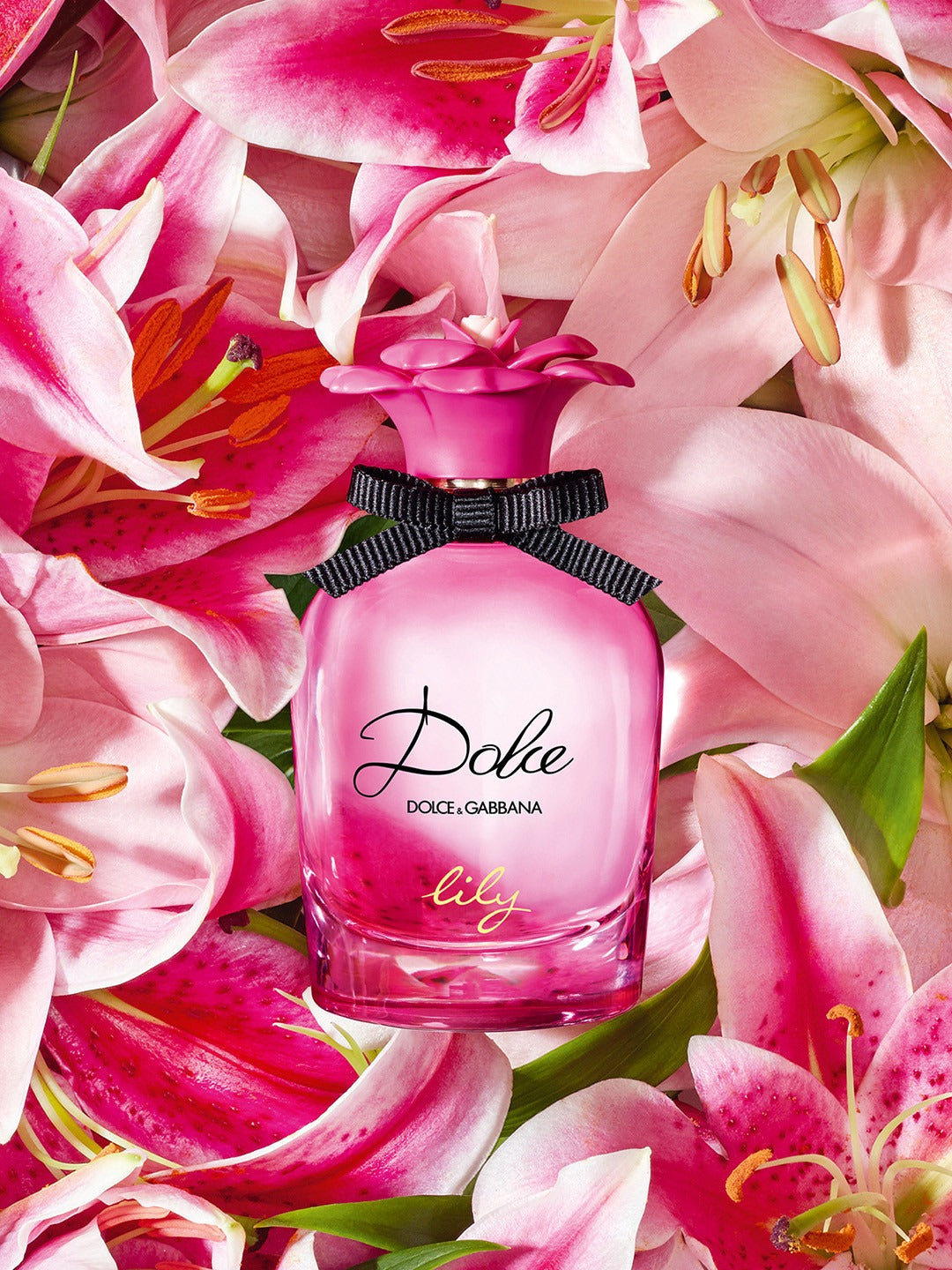D&G Dolce Lily 2.5 EDT Women