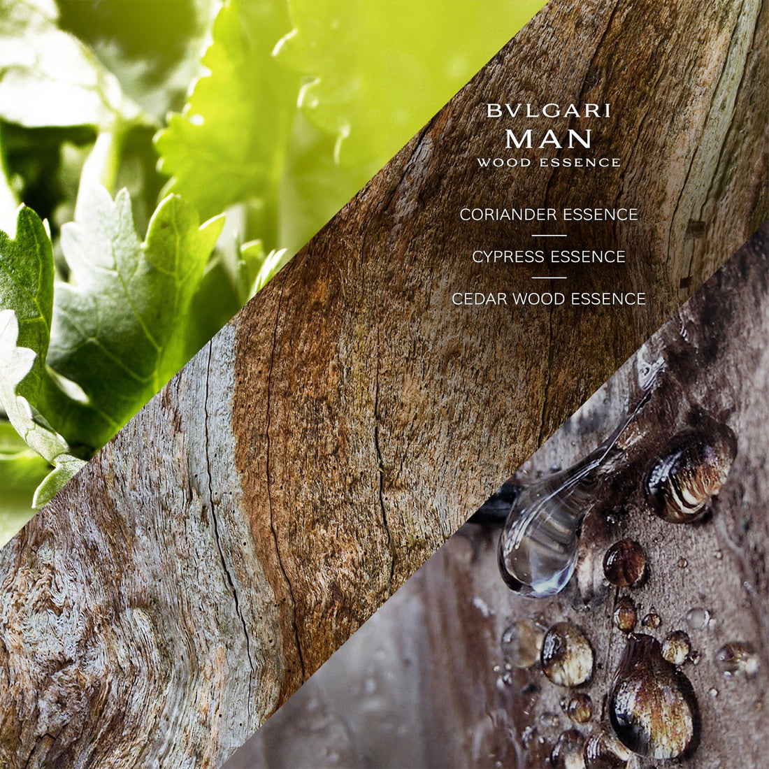 Bvlgari Man Wood Essence 3.4 EDP Men