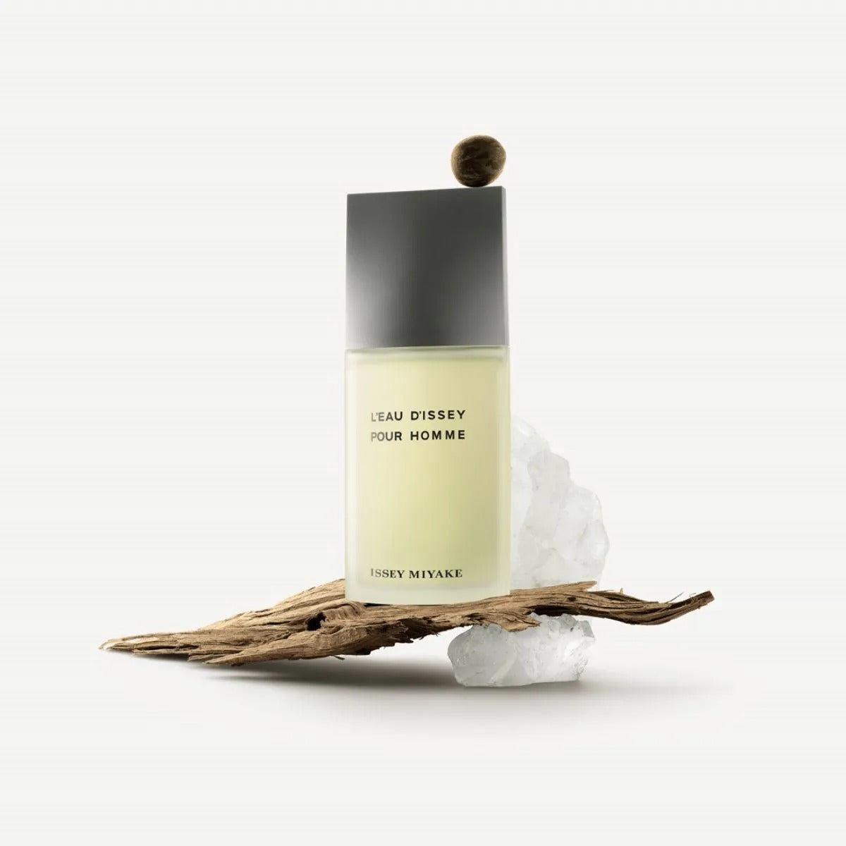 L'Eau d'Issey Pour Homme 4.2 EDT Men