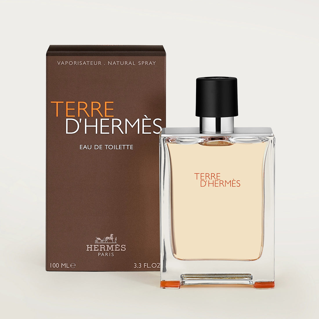 Terre d'Hermes Eau De Toilette Men