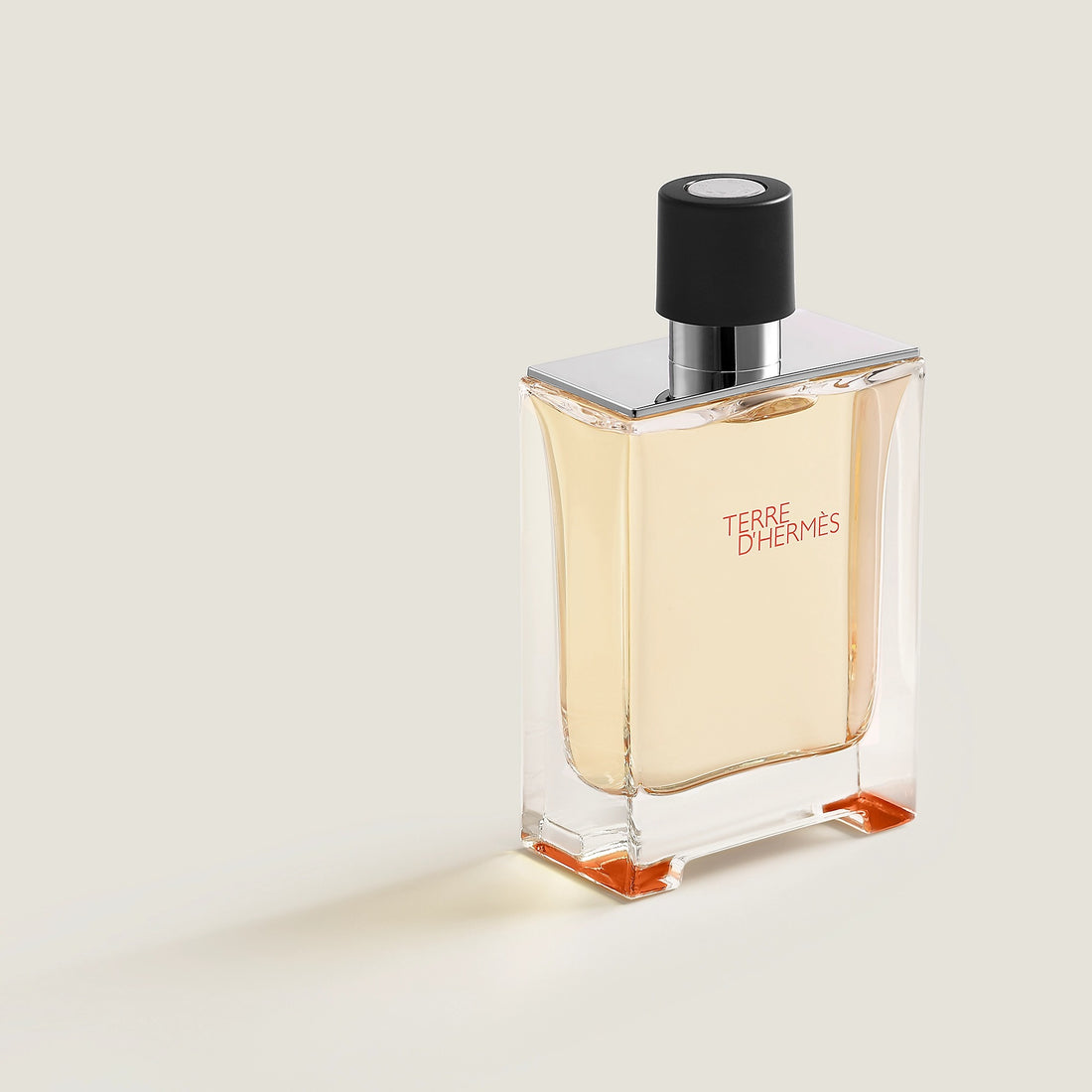 Terre d'Hermes Eau De Toilette Men