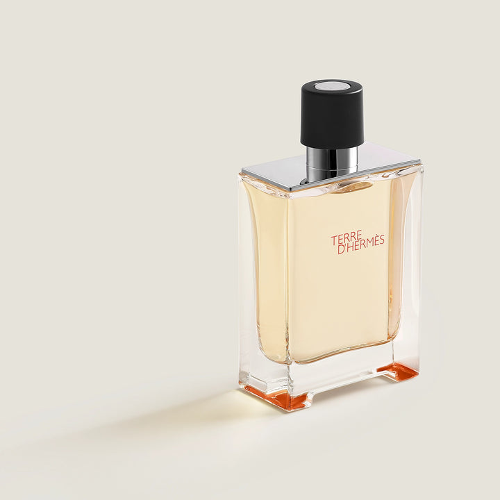 Terre d'Hermes Eau De Toilette Men