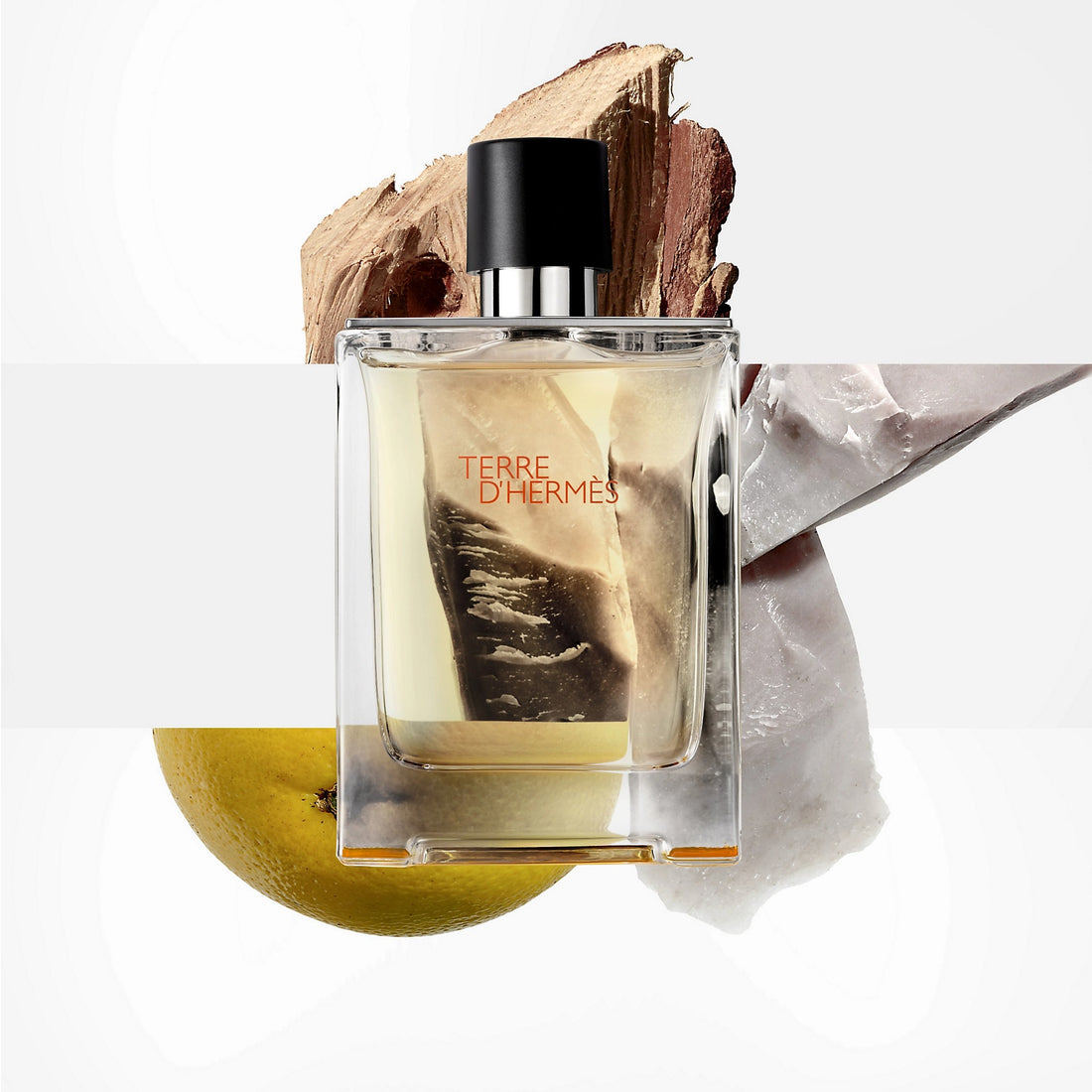 Terre d'Hermes Eau De Toilette Men