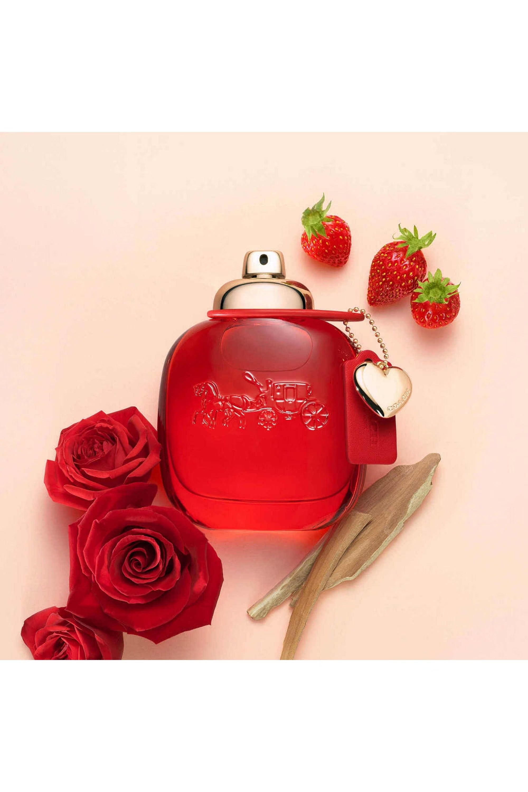 Coach Love 3.0 EDP Women