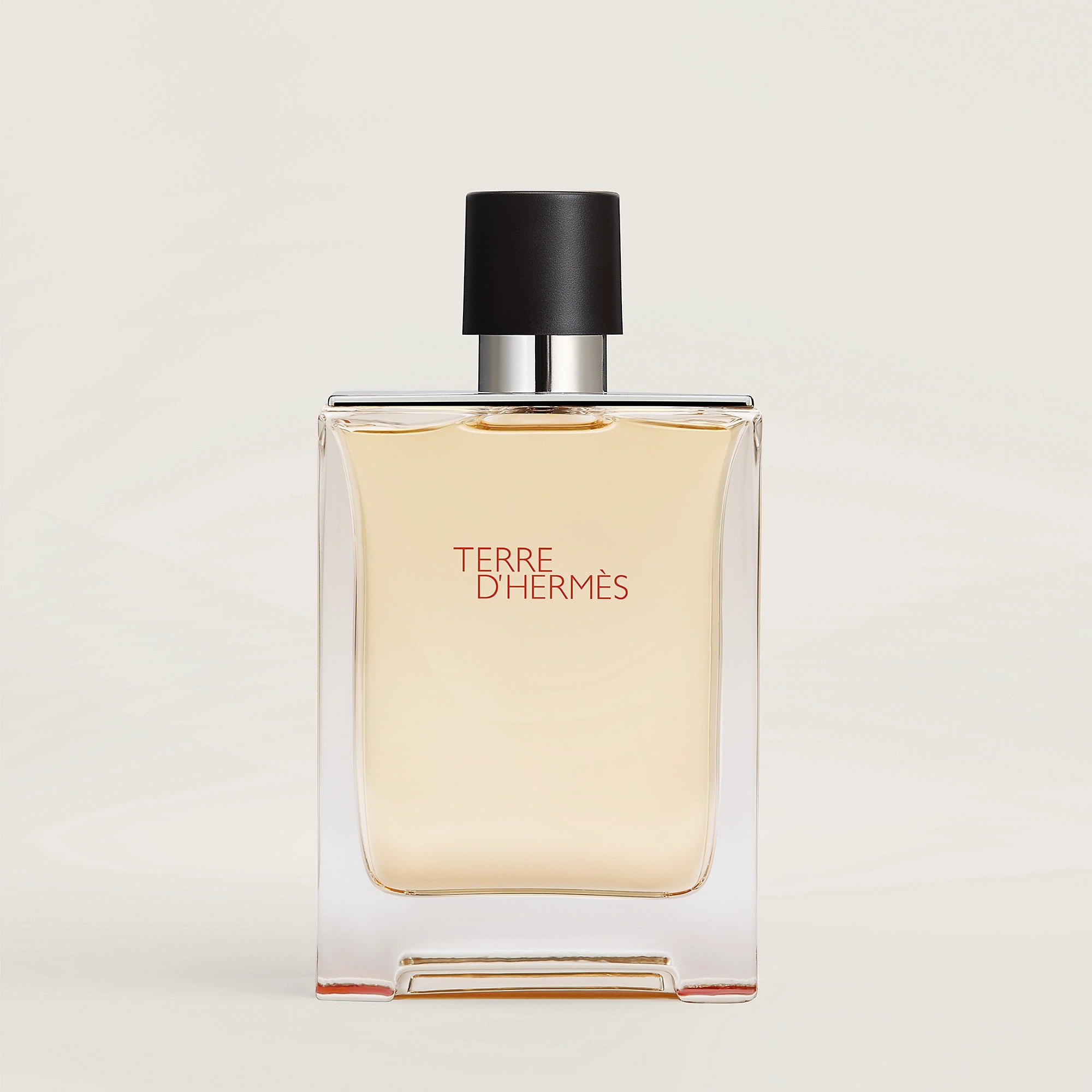 Terre d'Hermes Eau De Toilette Men